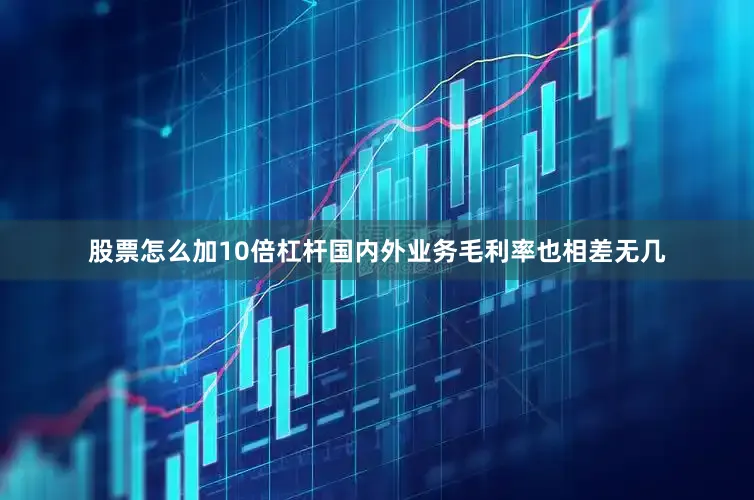 股票怎么加10倍杠杆国内外业务毛利率也相差无几