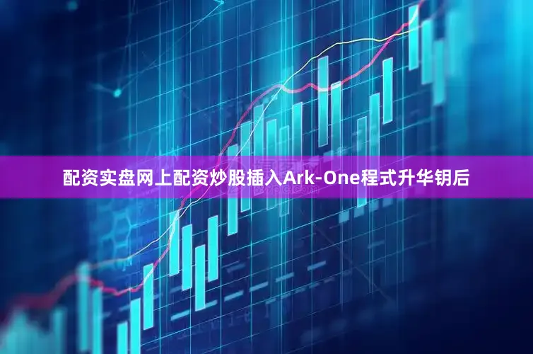 配资实盘网上配资炒股插入Ark-One程式升华钥后