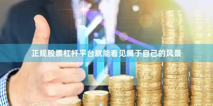 正规股票杠杆平台就能看见属于自己的风景