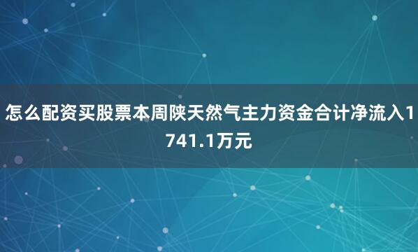 怎么配资买股票本周陕天然气主力资金合计净流入1741.1万元