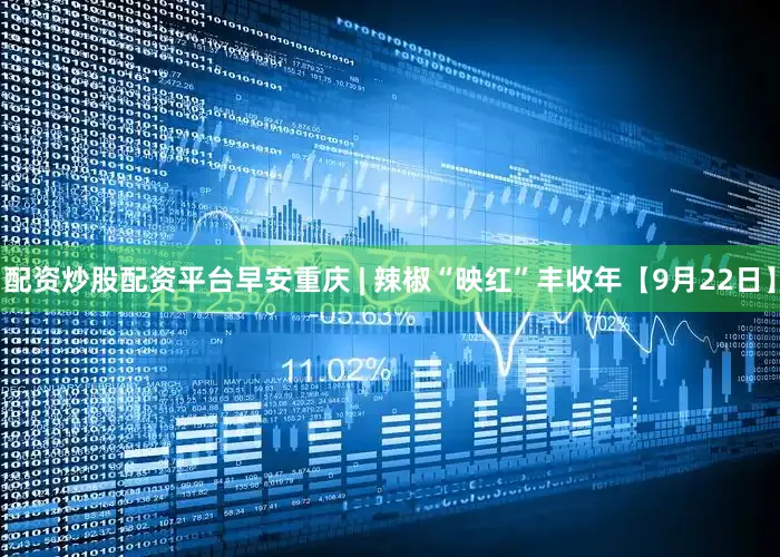 配资炒股配资平台早安重庆 | 辣椒“映红”丰收年【9月22日】